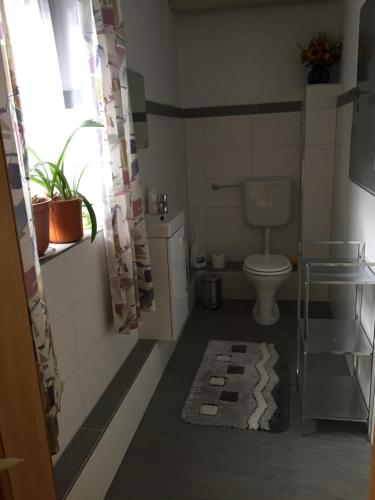 a small bathroom with a toilet and a sink at Pension Nama in Spiegelau