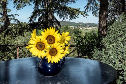 Castello Monticelli – Photos 5