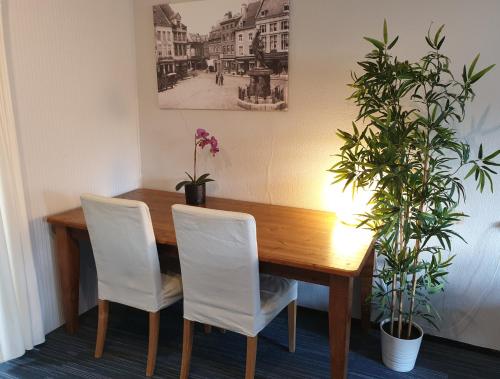 トングレンにあるHet Begijnhof Tongeren Centerのダイニングテーブル(白い椅子、植物付)