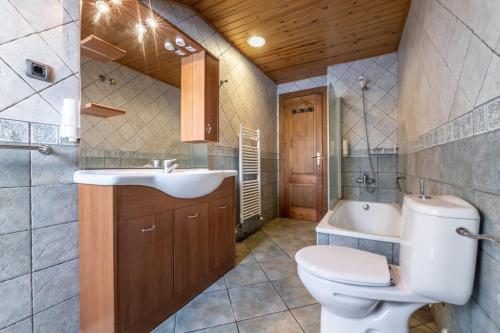 a bathroom with a toilet and a sink and a tub at Apartamentos Casa Rivera in Aínsa