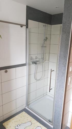 Koupelna v ubytování Ferienwohnung Regina
