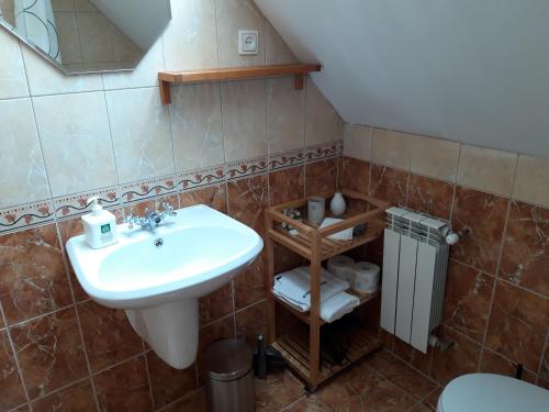 een badkamer met een wastafel en een toilet bij Agroturystyka Józefówka Tyrawa Solna in Mrzygłód