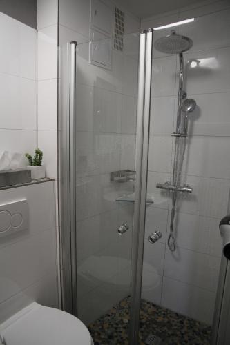 bagno con doccia in vetro e servizi igienici di Apartment am Kurpark a Sankt Andreasberg