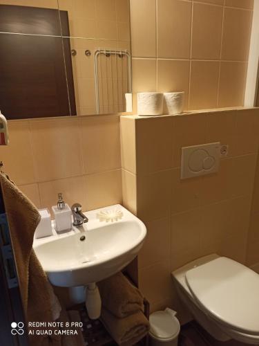 a bathroom with a sink and a toilet at Apartmany Adavy in Liptovský Mikuláš