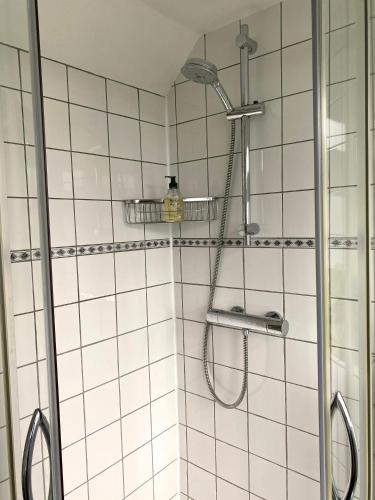 a shower with a shower head in a bathroom at Apartment In de Wolken in Oostwoud