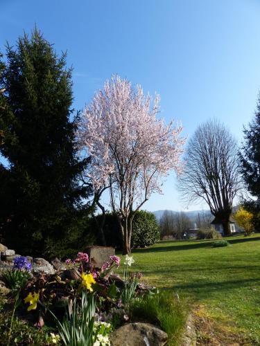 Ein Garten an der Unterkunft Hôtel Morris