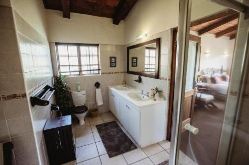 uma casa de banho com um lavatório, um WC e um espelho. em Ndawana River Lodge em Underberg