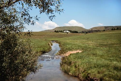 Gallery image of Belfast Guest House in Underberg