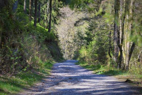 a dirt road with trees on both sides at A la ferme du Pere Eugene in Malmedy
