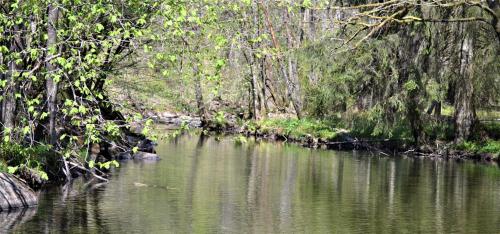 a body of water with trees in the background at Penthouse Lebierre in Malmedy