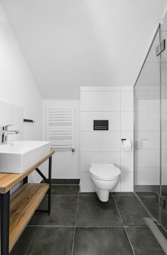 a bathroom with a sink and a toilet at Aparthotel Narciarska 2 in Korbielów