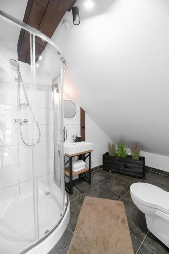a bathroom with a shower and a toilet and a sink at Aparthotel Narciarska 2 in Korbielów