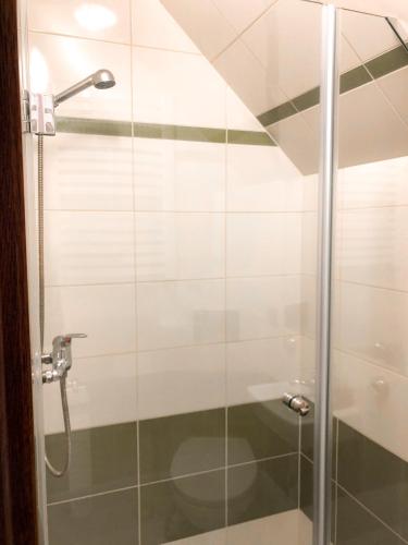 a shower with a glass door in a bathroom at Agroturystyka Kasia in Podwilk