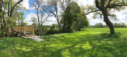 a wooden bench in a grassy field with a tree at Maesyfelin Isaf Apartment in Llanybydder