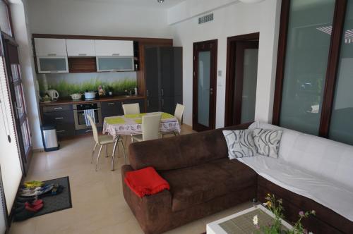 a living room with a brown couch and a kitchen at Studio Wisełka Leśna in Wisełka