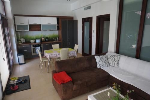 a living room with a brown couch and a kitchen at Studio Wisełka Leśna in Wisełka