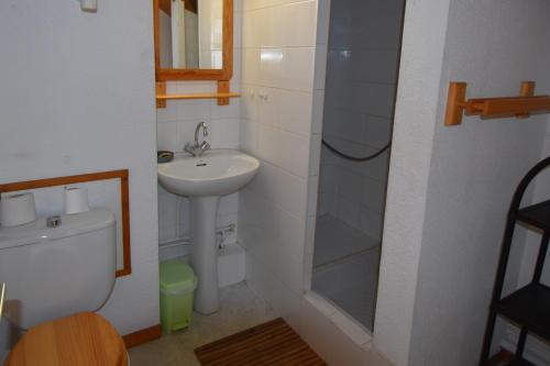 une salle de bain avec un lavabo, des toilettes et une douche dans l'établissement VAUJANYLOCATIONS - Claret II Apt 12, à Vaujany