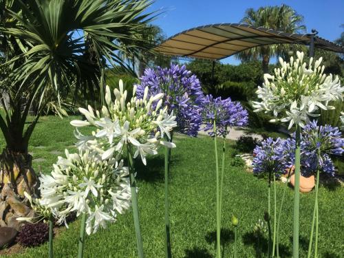 a garden with purple and white flowers and an umbrella at Feudogrande Bio Relais Hotel in Fiumefreddo di Sicilia