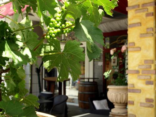 um monte de uvas verdes penduradas numa árvore em Hotel Ristorante La Terrazza em Planegg