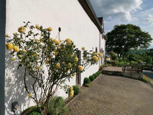 Κήπος έξω από το Ferienhaus Vulkaneifel Landhaus Loogh