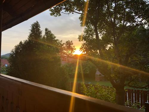 a sunset seen through a window with a tree at ALPHA in Badacsonytördemic
