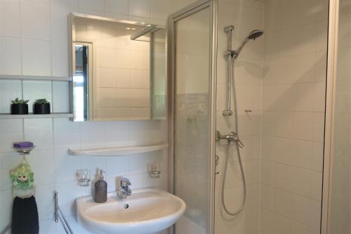 een badkamer met een wastafel en een douche bij De Aardigeyt in Giethoorn