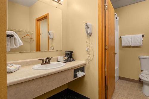 a bathroom with a sink and a mirror and a toilet at Chena Hot Springs Resort in Chena Hot Springs