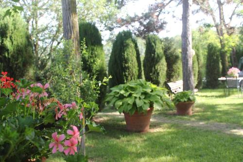 a garden with potted plants and a bench at Agriturismo La Selva in Siena