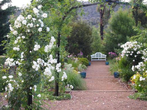a garden with a white bench on a path with flowers at Delderfield Villas Adults Retreat in Marysville