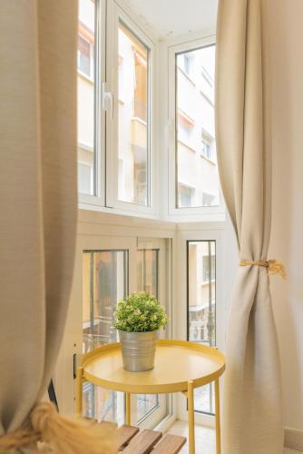 a potted plant on a table in front of a window at Picnic Dreams Boutique Hostel in Málaga