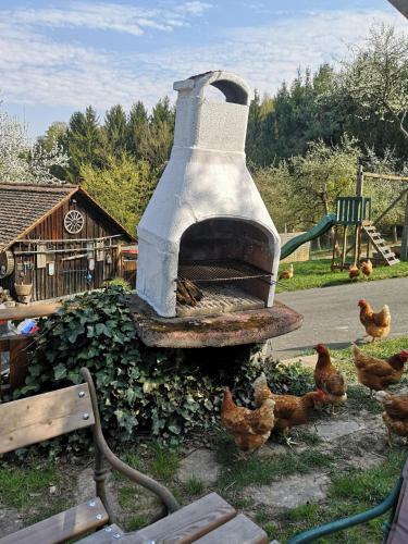 a group of chickens standing around an outdoor oven at FerienAppartments Landhaus FühlDichWohl in Fehring