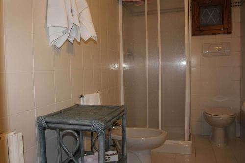 a bathroom with a toilet and a sink and a shower at Agriturismo La Selva in Siena