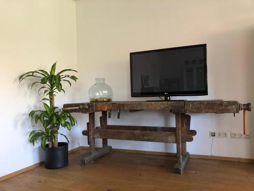 a television on top of a wooden table with a plant at Fancy Luxury Home In Former Tavern in Gmunden