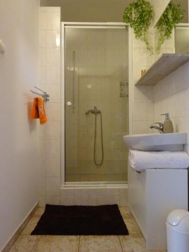 a bathroom with a shower and a sink at Ubytovani Dana Brentnerova in Milovice