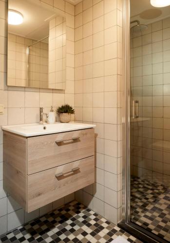 a bathroom with a sink and a shower at Het Knechthuys in Baarlo