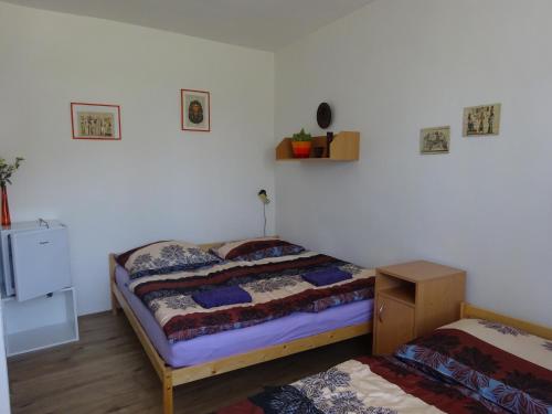 a bedroom with two twin beds in a room at Ubytovani Dana Brentnerova in Milovice