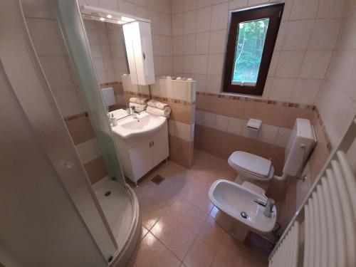 bagno con servizi igienici, lavandino e specchio di Apartament Tatiana a Rogaška Slatina