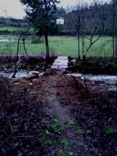 a path in the middle of a field with trees at Quinta Da Penela in Vieira do Minho
