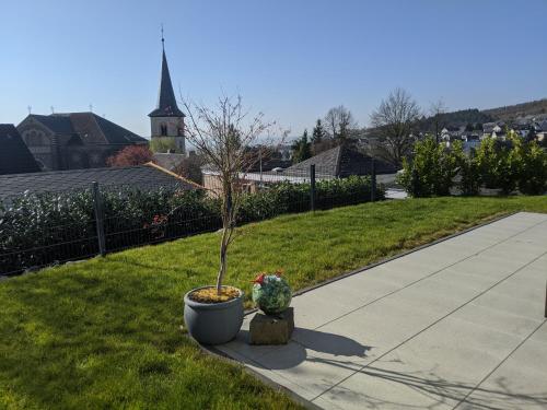Zahrada ubytování Ferienwohnungen Pellenzblick - Wohnen auf Zeit -