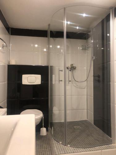 a bathroom with a shower with a toilet and a sink at Dionysos Traube in Rottweil