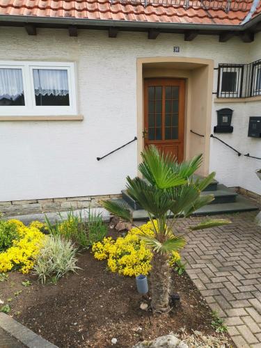 a house with a palm tree and flowers in front of it at byJoe in Morschen