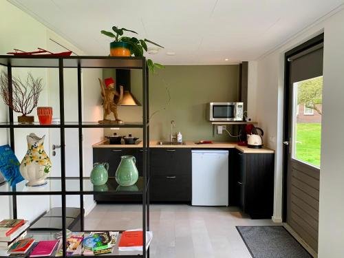 a kitchen with a counter and a refrigerator in a room at Mae Usu in Nieuw-Roden