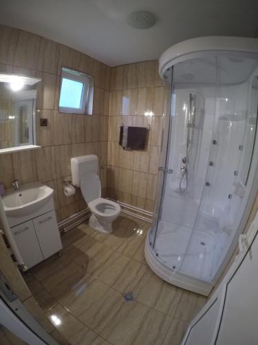 a bathroom with a shower and a toilet and a sink at Casa Veverita in Predeluţ