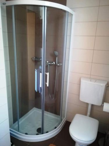 a bathroom with a glass shower with a toilet at Prenočišča Iris in Sežana
