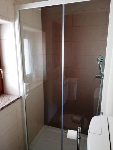 a glass shower door in a bathroom with a toilet at Prenočišča Iris in Sežana