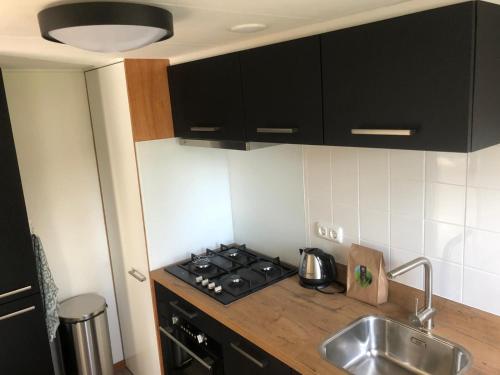 une cuisine avec un évier et une cuisinière four supérieur dans l'établissement Anna, à Hollum