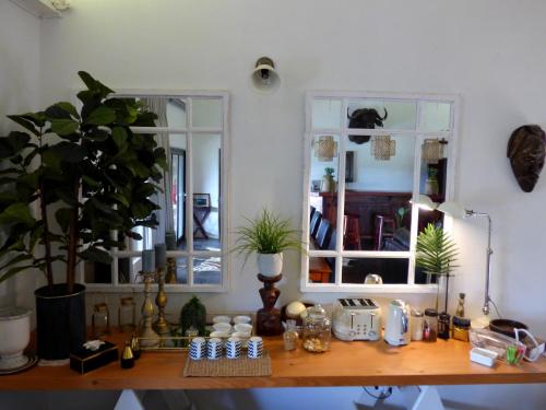 a desk in a room with a plant and a window at African Safari Lodge in Grahamstown