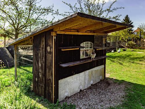 a cat sitting in the window of a chicken coop at Hof Lewin in Dargen