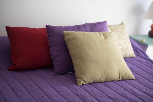 Легло или легла в стая в RondPoint Pilar