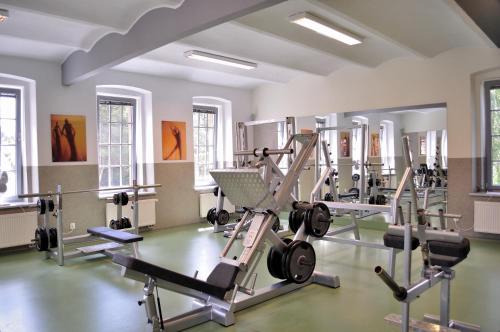 Fitness centrum a/nebo fitness zařízení v ubytování Penzion Lípa